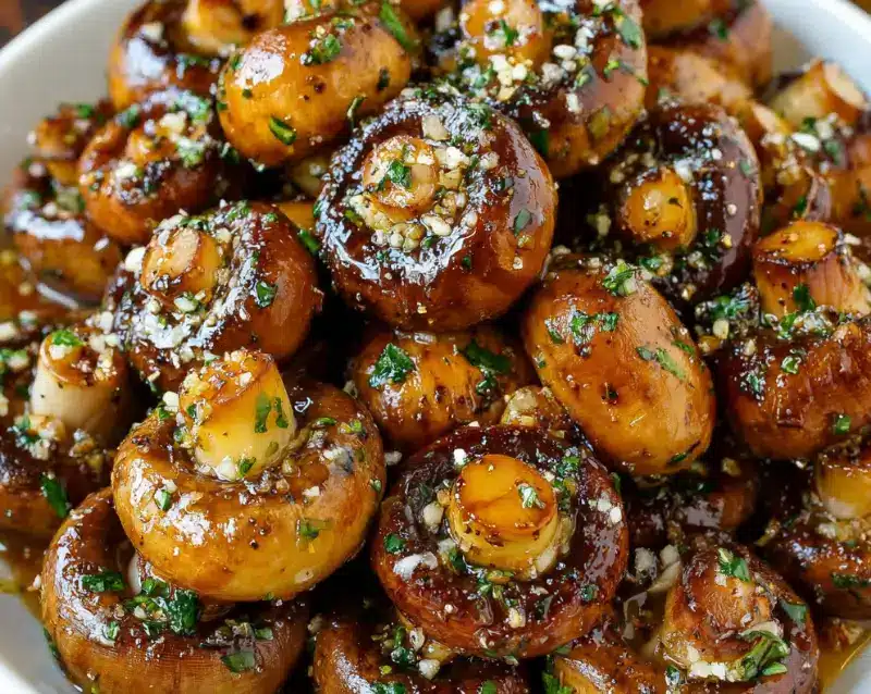 Design sans titre 2026 01 16T171228.294