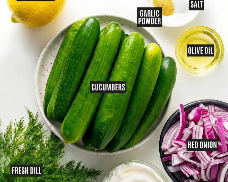 Design sans titre 2026 02 08T180253.347